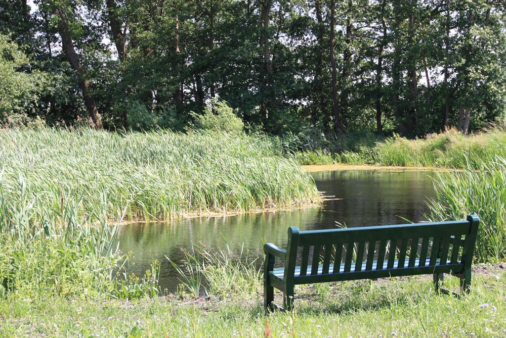 Ferienhäuser Gut Gustowerhöfen Altefähr Exterior foto